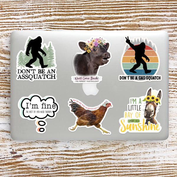 Donkey Ray of Smart Ass Sunshine Sticker