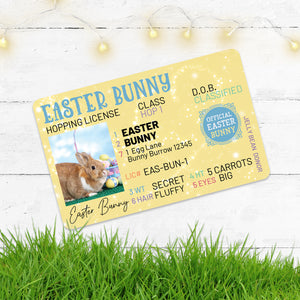 Easter Bunny License