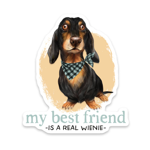 My Best Friend Is A Real Wienie Dog Sticker