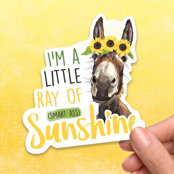 Donkey Ray of Smart Ass Sunshine Sticker